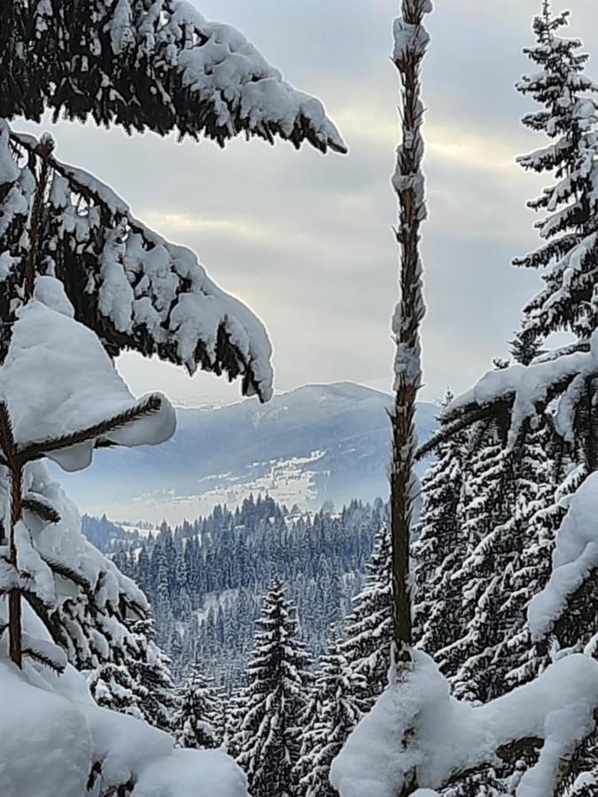 Hotel Novoe Shale Jablunicja Kültér fotó